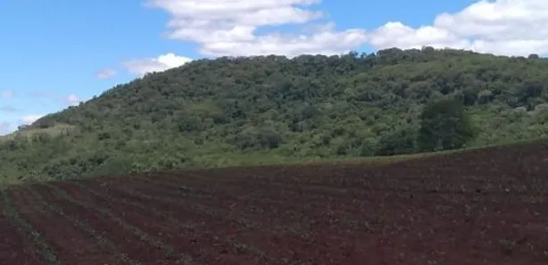Fazenda / Sítio / Chácara à venda, 145200m² no Jardim Ouro verde, Guairaçá