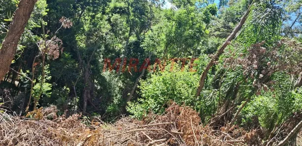 Terreno / Lote / Condomínio à venda, 1100m² no Roseira, Mairiporã