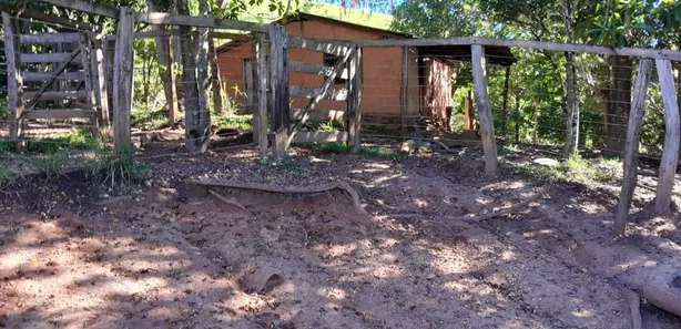 Fazenda / Sítio / Chácara com 3 Quartos à venda, 2565000m² no , Padre Bernardo