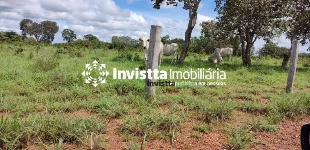 Fazenda / Sítio / Chácara à venda, 575m² no Jardim Paulista, Paraíso do Tocantins