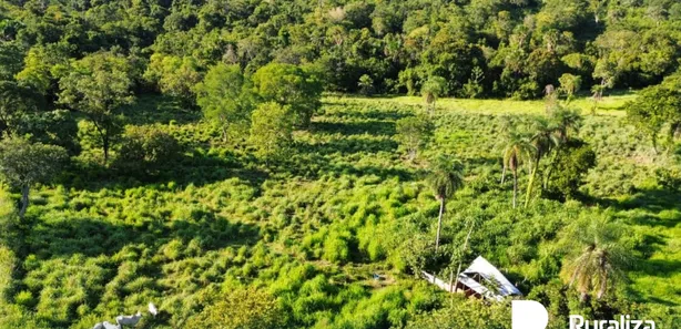 Fazenda / Sítio / Chácara à venda, 58m² no , Paraíso do Tocantins