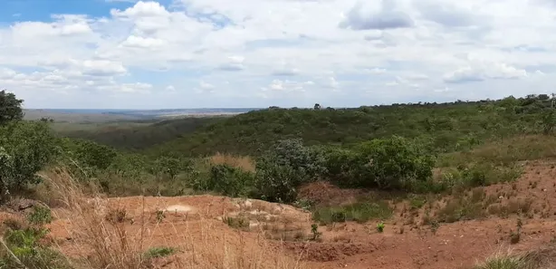 Fazenda / Sítio / Chácara à venda, 22500m² no , Brasília