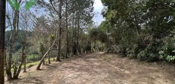 Terreno / Lote / Condomínio à venda, 18455m² no Taboleiro Verde, Cotia