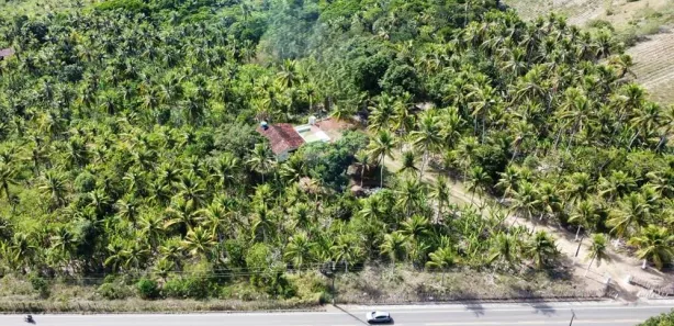 Fazenda / Sítio / Chácara com 2 Quartos à venda, 166999m² no Mituaçu, Conde