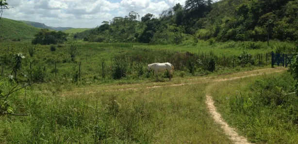 Fazenda / Sítio / Chácara com 3 Quartos à venda, 660000m² no , Pombos
