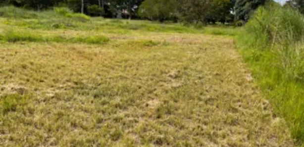 Terreno / Lote / Condomínio à venda, 20000m² no Park Way, Brasília