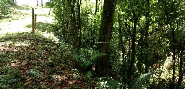 Terreno / Lote / Condomínio à venda, 2946m² no Bugre, Balsa Nova