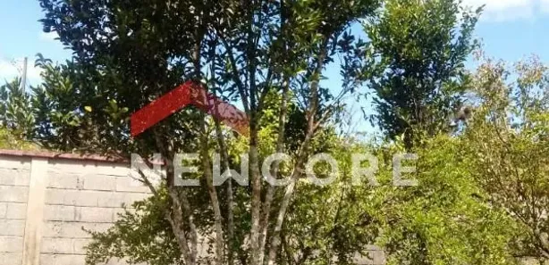 Fazenda / Sítio / Chácara à venda, 200m² no Jardim Aguapeu, Itanhaém