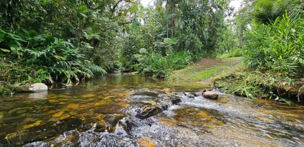 Fazenda / Sítio / Chácara à venda, 463710m² no Ponta da Pedra, Antonina