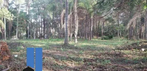 Fazenda / Sítio / Chácara com 5 Quartos à venda, 29296m² no Chácaras Lidia, Embu das Artes