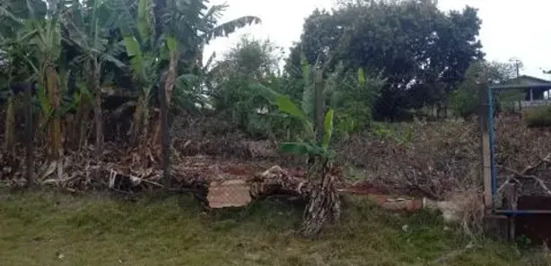 Fazenda / Sítio / Chácara à venda, 52m² no Éden, Ibiporã