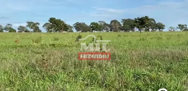 Fazenda / Sítio / Chácara à venda, 500m² no , Lagoa Santa