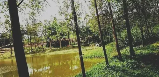 Casa de Condomínio com 4 Quartos à venda, 250m² no Centro, Moreno