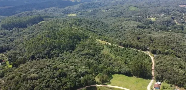 Terreno / Lote / Condomínio à venda, 20000m² no Itaqui de Cima, Campo Largo