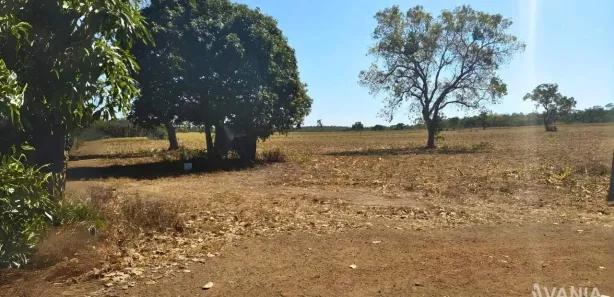 Fazenda / Sítio / Chácara à venda, 726000m² no Setor Central, Ponte Alta do Tocantins