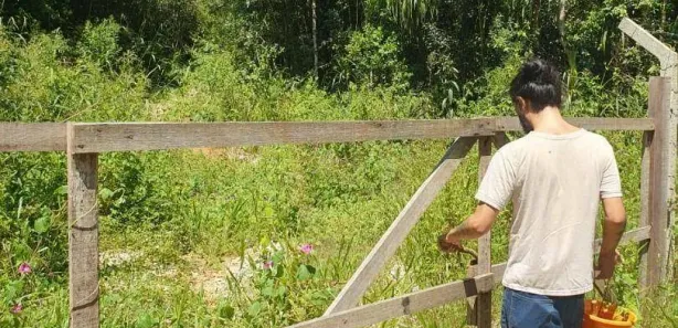 Fazenda / Sítio / Chácara à venda, 14450m² no Área Rural de Almirante Tamandaré, Almirante Tamandaré