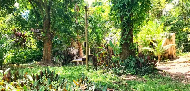 Fazenda / Sítio / Chácara com 1 Quarto à venda, 24975m² no Tinguá, Nova Iguaçu