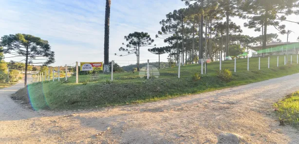 Fazenda / Sítio / Chácara com 3 Quartos à venda, 216m² no Palmeirinha, Campina Grande do Sul