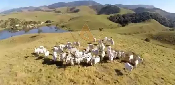 Fazenda / Sítio / Chácara com 10 Quartos à venda, 1452000m² no Vila Galvão, Caçapava