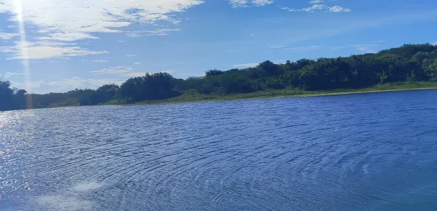 Fazenda / Sítio / Chácara com 4 Quartos à venda, 720000m² no , Brejinho