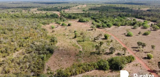 Fazenda / Sítio / Chácara à venda, 430m² no , Pium