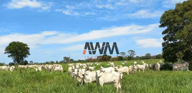 Fazenda / Sítio / Chácara à venda, 2420000m² no Centro, Cristalândia