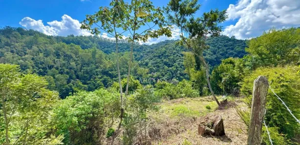 Terreno / Lote / Condomínio à venda, 3900m² no Itaipava, Petrópolis