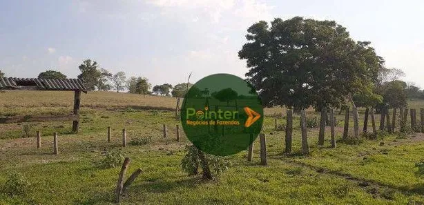 Fazenda / Sítio / Chácara à venda, 10599600m² no Vila Oeste, Paraíso do Tocantins