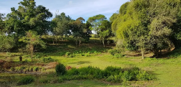 Terreno / Lote / Condomínio à venda, 5000m² no Boca do Mato, Cachoeiras de Macacu
