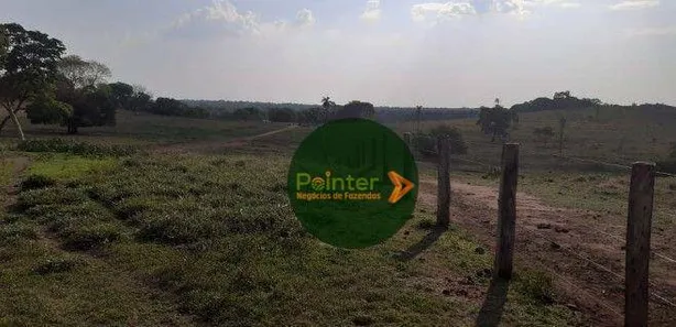 Fazenda / Sítio / Chácara à venda, 10599600m² no Vila Oeste, Paraíso do Tocantins