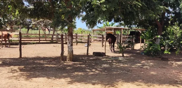 Fazenda / Sítio / Chácara com 3 Quartos à venda, 500m² no Chácaras Araguaia, Novo Gama