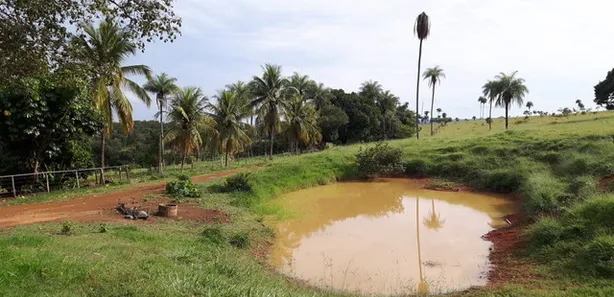 Fazenda / Sítio / Chácara à venda, 280000m² no Centro, Formosa