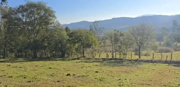 Terreno / Lote / Condomínio à venda, 10000m² no Centro, Pouso Alegre