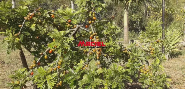 Fazenda / Sítio / Chácara com 3 Quartos à venda, 312m² no Chácara Marambaia, Caçapava