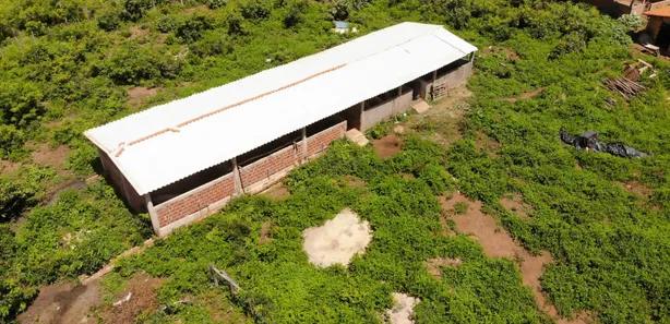 Fazenda / Sítio / Chácara com 3 Quartos à venda, 124000000m² no Centro, Campo Maior