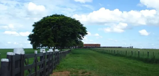 Fazenda / Sítio / Chácara com 10 Quartos à venda, 1000m² no , Pompéia