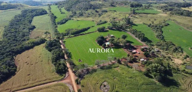 Fazenda / Sítio / Chácara à venda, 962964m² no Pinheiro, Ibiporã