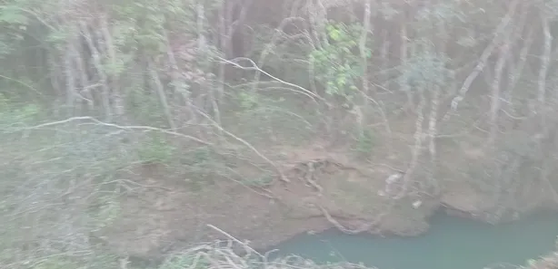 Fazenda / Sítio / Chácara com 3 Quartos à venda, 390000m² no Área Rural de Novo Gama, Novo Gama