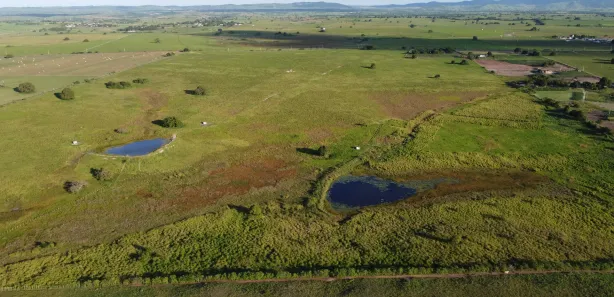 Fazenda / Sítio / Chácara à venda, 540000m² no , Pilar