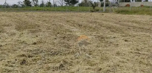 Terreno / Lote / Condomínio à venda, 1200m² no , Araçoiaba da Serra
