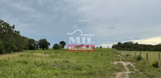 Fazenda / Sítio / Chácara à venda, 500m² no , Formoso do Araguaia