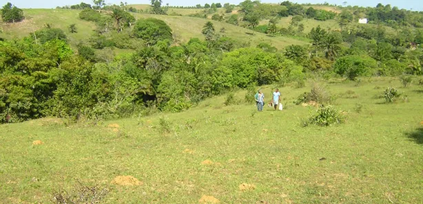 Terreno / Lote / Condomínio à venda, 291666m² no , Simões Filho