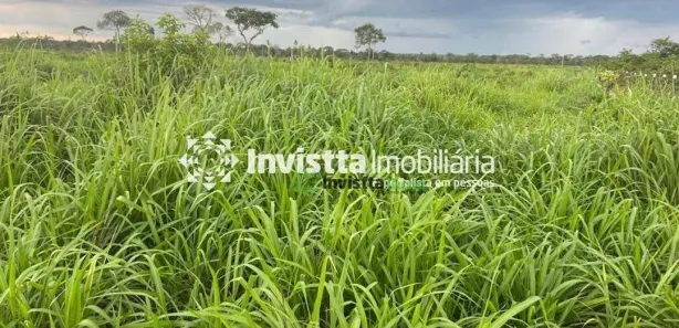 Fazenda / Sítio / Chácara à venda, 1040m² no Centro, Lagoa da Confusão