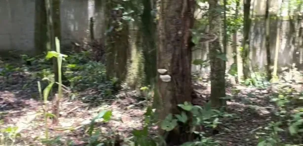 Terreno / Lote / Condomínio à venda, 583m² no Maresias, São Sebastião