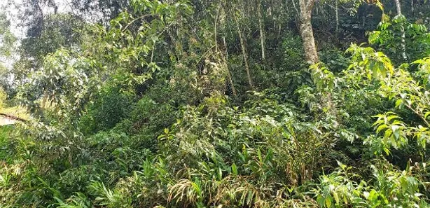 Terreno / Lote / Condomínio à venda, 503m² no Quitandinha, Petrópolis