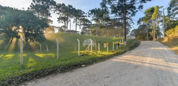 Fazenda / Sítio / Chácara com 3 Quartos à venda, 216m² no Palmeirinha, Campina Grande do Sul