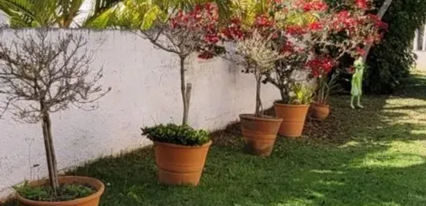 Fazenda / Sítio / Chácara com 3 Quartos à venda, 2000m² no , Mairinque