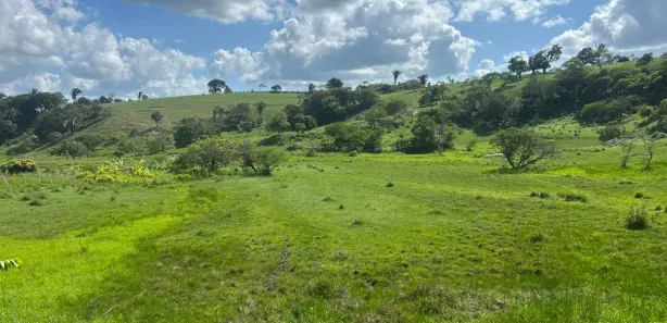 Fazenda / Sítio / Chácara à venda, 360000m² no , Sairé