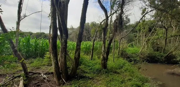 Fazenda / Sítio / Chácara com 1 Quarto à venda, 60000m² no , Contenda