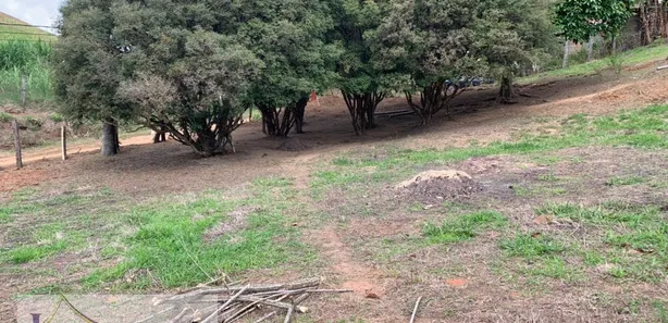 Fazenda / Sítio / Chácara com 3 Quartos à venda, 120m² no São Joaquim, Paty do Alferes
